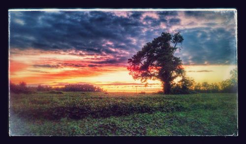 Scenic view of field against dramatic sky