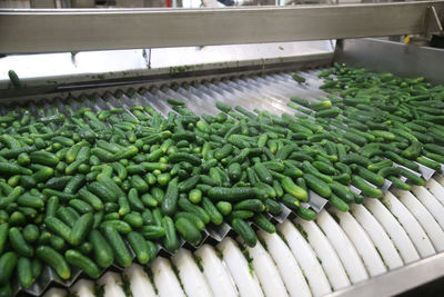 Full frame shot of green chili peppers in factory