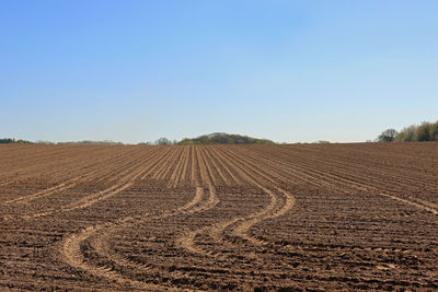 Dry freshly tilled arable fields with tire tracks in the ground under blue sky on farmland