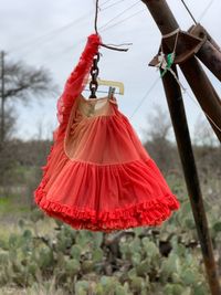 Close-up of red umbrella hanging on tree