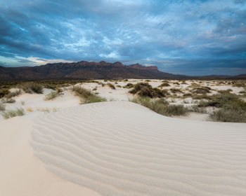Scenic view of desert against sky