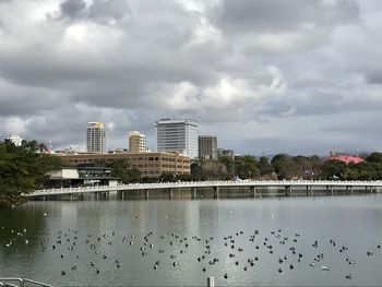 View of birds in city against cloudy sky
