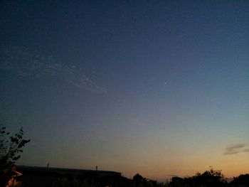 Low angle view of trees against sky at dusk