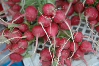 Close-up of red chili peppers
