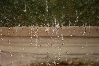 Close-up of water drops on spider web