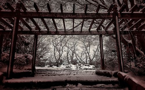 Bare trees seen through abandoned bridge in winter