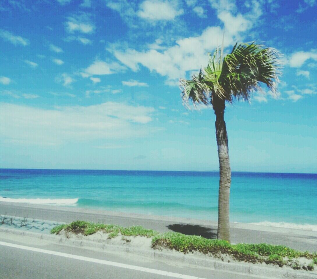 sea, horizon over water, palm tree, sky, water, tranquil scene, tranquility, tree, beach, scenics, beauty in nature, nature, blue, shore, cloud - sky, cloud, road, growth, idyllic, tree trunk