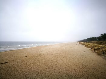 Scenic view of beach against clear sky