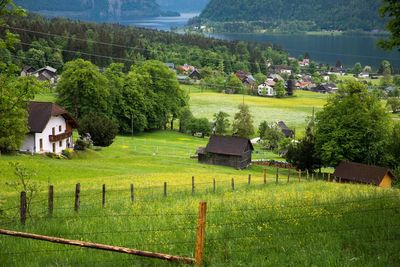 Scenic view of field against trees