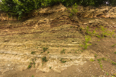 Scenic view of mountain