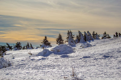 Snow covered land and trees against sky during sunset