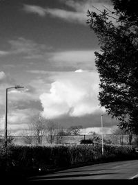 Trees against cloudy sky