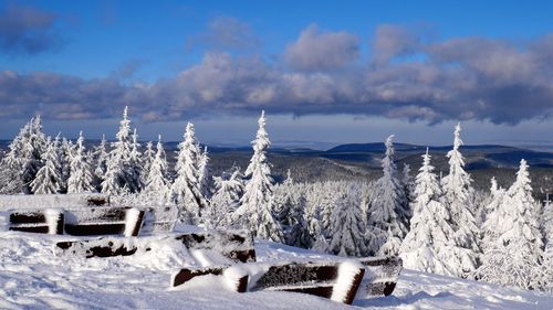 Scenic view of snow covered landscape