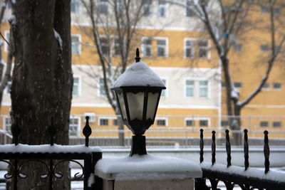 Street light on snow covered tree