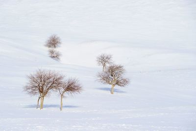 Scenic view of snow covered landscape