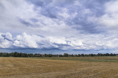 Scenic view of field against sky