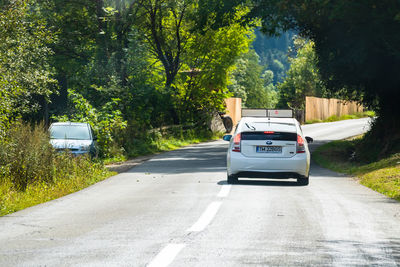 Car on road against trees in city