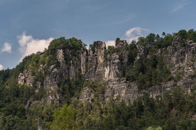 Scenic view of forest against sky