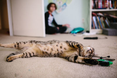 Tabby cat stretches out on the carpet next to a helicopter toy