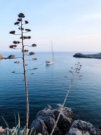 Sailboats sailing on sea against sky