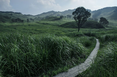Scenic view of landscape against sky