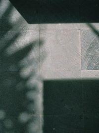 Close-up of shadow on wall