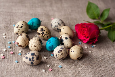 Close-up of multi colored eggs on table