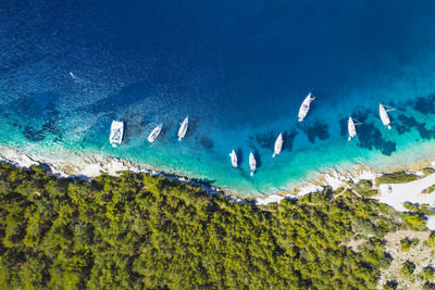 People swimming in sea