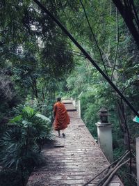 Rear view of monk walking in forest