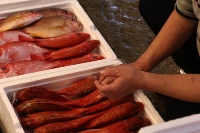 Close-up of man selling fish