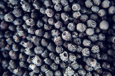 Frozen blueberries with frost in the macro