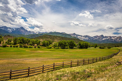 Scenic view of field against sky