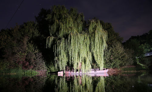 Scenic view of lake by trees in forest against sky