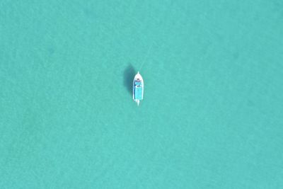 High angle view of small floating on water