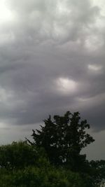 Low angle view of trees against cloudy sky