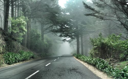 Road amidst trees against sky