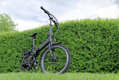 Bicycle parked by green hedge