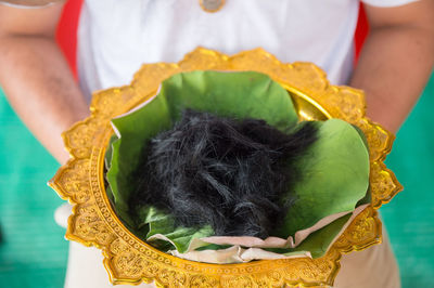 Midsection of man holding human hair and leaf in container