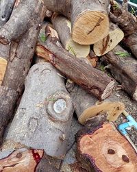 High angle view of logs in forest
