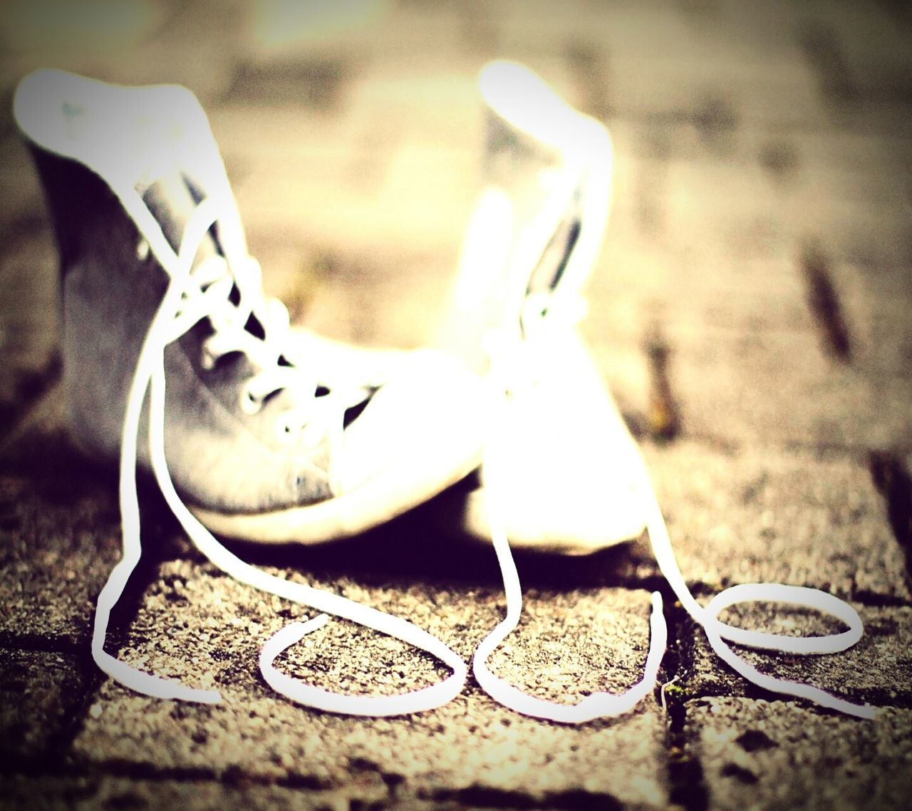 close-up, focus on foreground, indoors, still life, no people, animal representation, high angle view, selective focus, single object, metal, sunlight, toy, table, shadow, absence, art and craft, day, shoe, empty