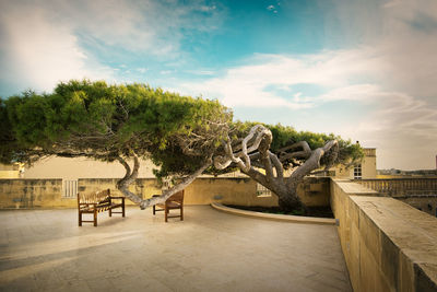 High angle view of trees against sky on a quiet place with benches in malta, gozo