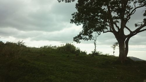Scenic view of landscape against cloudy sky