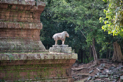 View of a temple