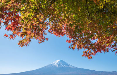 Scenic view of snowcapped mountains against clear sky