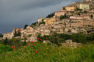 Buildings in city