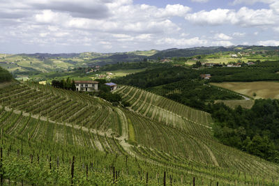 Scenic view of agricultural field against sky