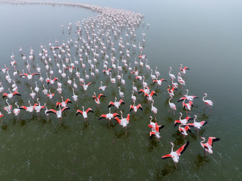 High angle view of boats in sea