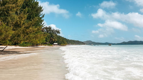 Idyllic tropical beach landscape, summer, travel, vacations.