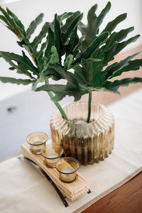 High angle view of candles with plant on table