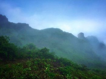 Scenic view of mountains in forest against sky during foggy weather